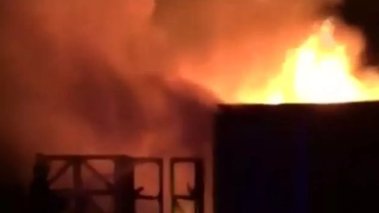 Incendiu la Grădina Zoologică din Londra: Cel puțin un animal a murit și mai multe persoane au fost rănite (VIDEO)