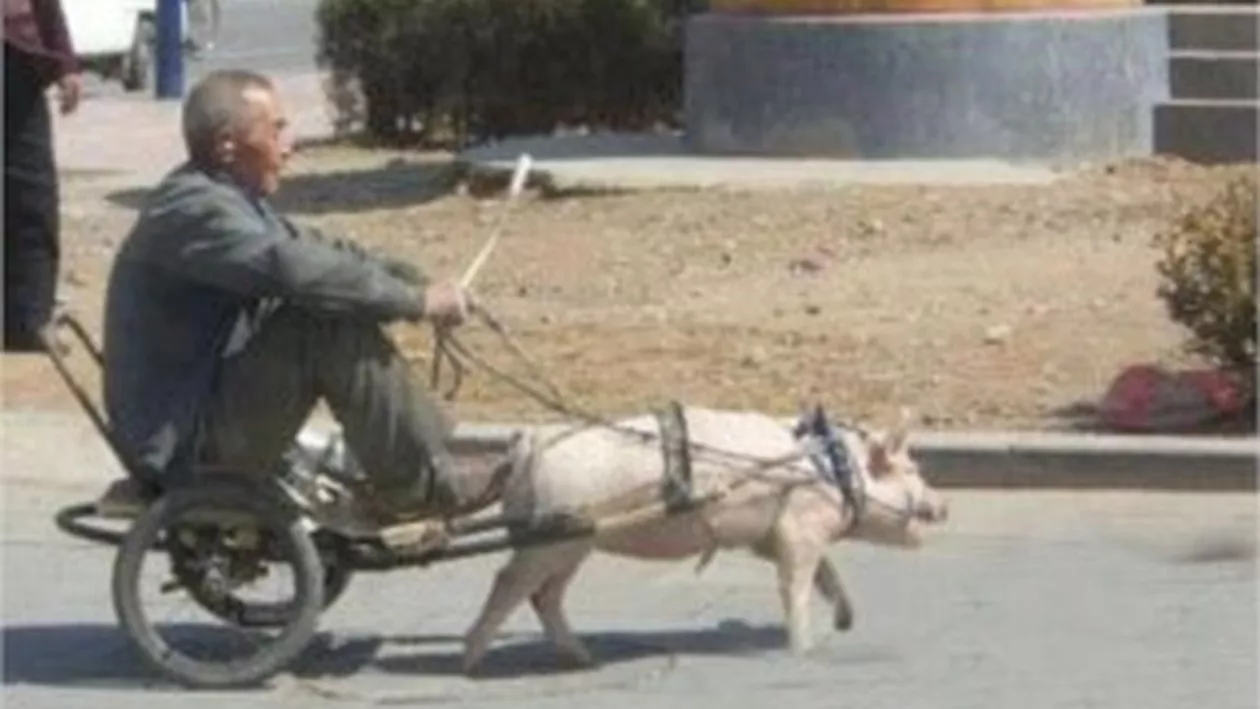 România, ultimul loc din UE la consumul de săpun, pastă de dinți sau hârtie igienică. Statistici sumbre pentru țara noastră în 2017