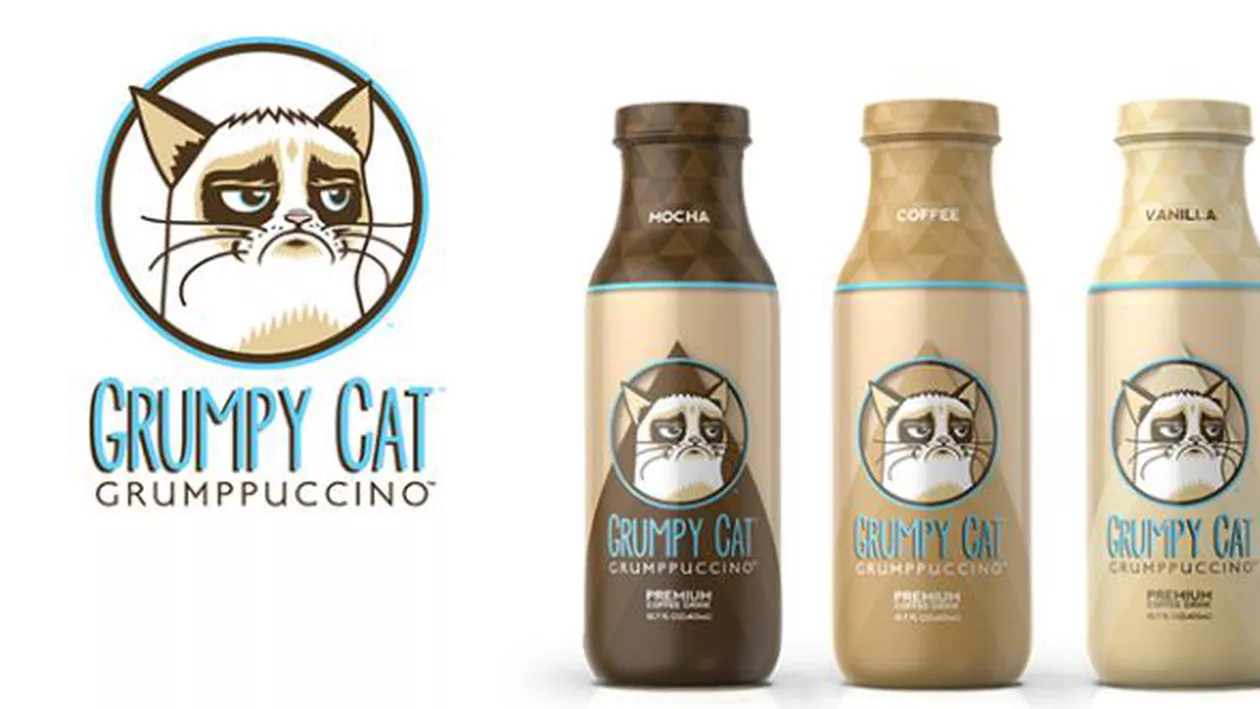 „Grumpy Cat” dă LOVITURA și în istanță. Cum a CÂȘTIGAT proprietara acesteia 710 mii de dolari