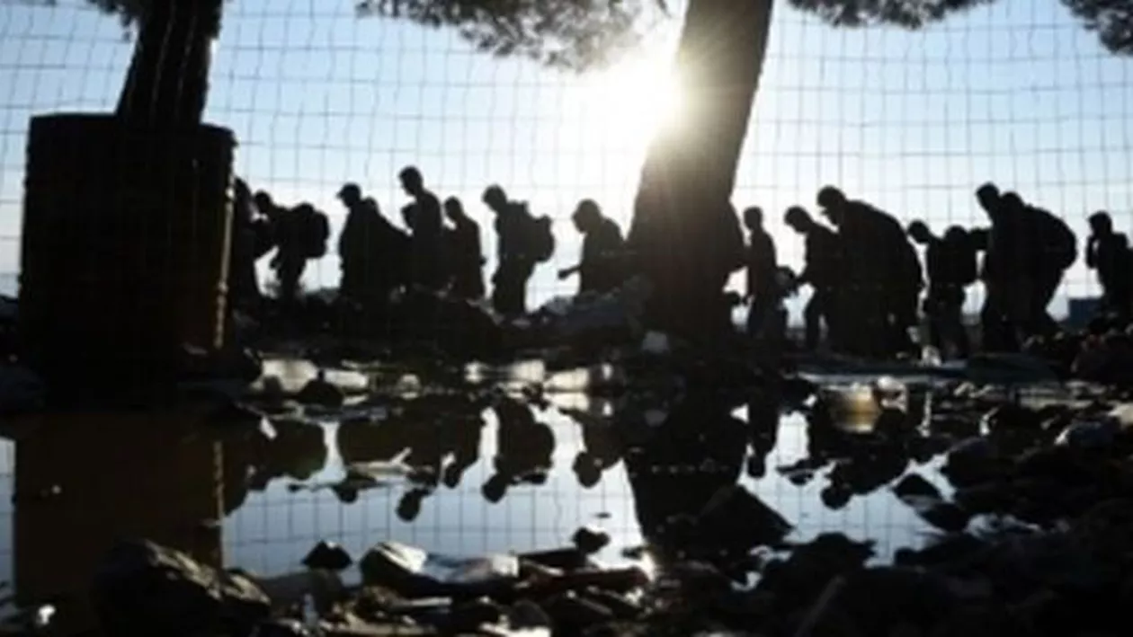 Proiect al Ministerului de Interne: Ajutor de chirie pentru refugiaţi