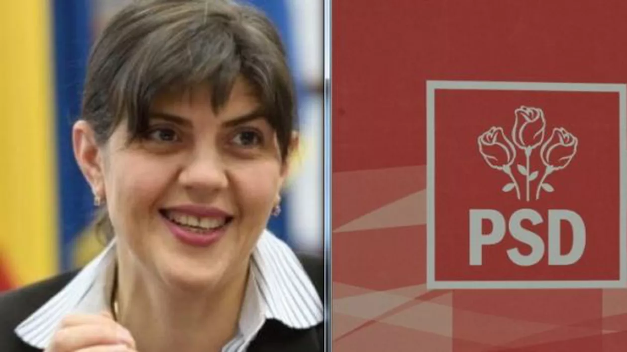 DNA a cerut PSD Prahova CHITANŢE legate de alegerile europarlamentare din 2014 (FOTO)
