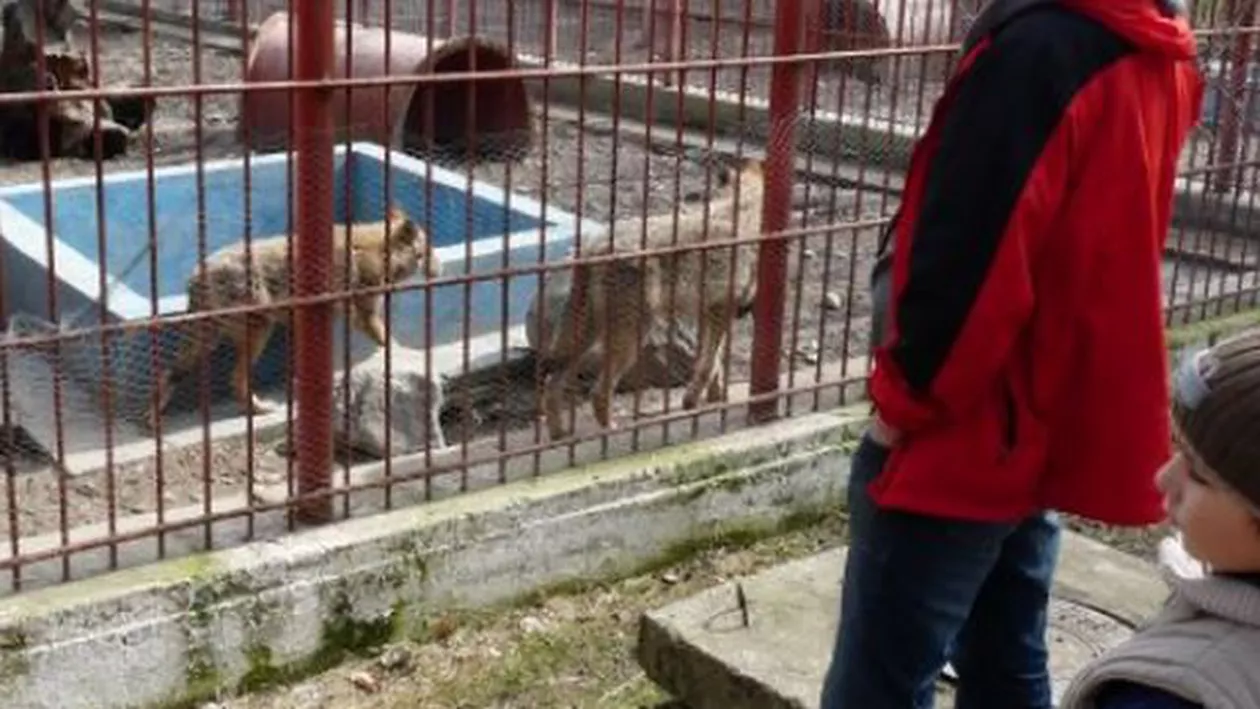 O mamă și cei trei copii ai săi, ÎNCHIȘI la Grădina Zoologică! Caz HALUCINANT la Oradea!