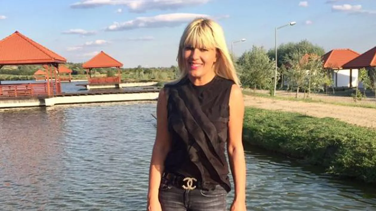 Udrea ACUZĂ din Costa Rica: În fața mea, generalul COLDEA…