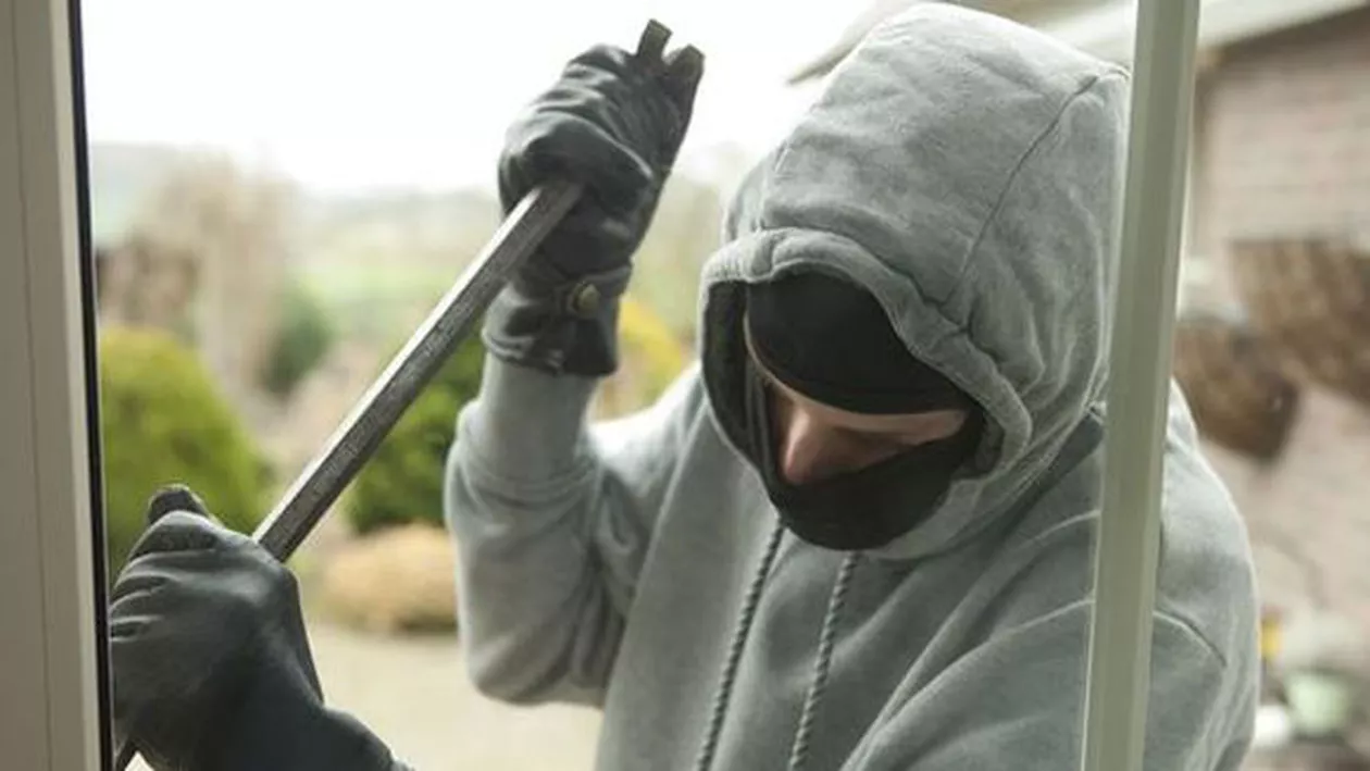 INCREDIBIL! Cum şi-a salvat un câine stăpânul de hoţi (FOTO)