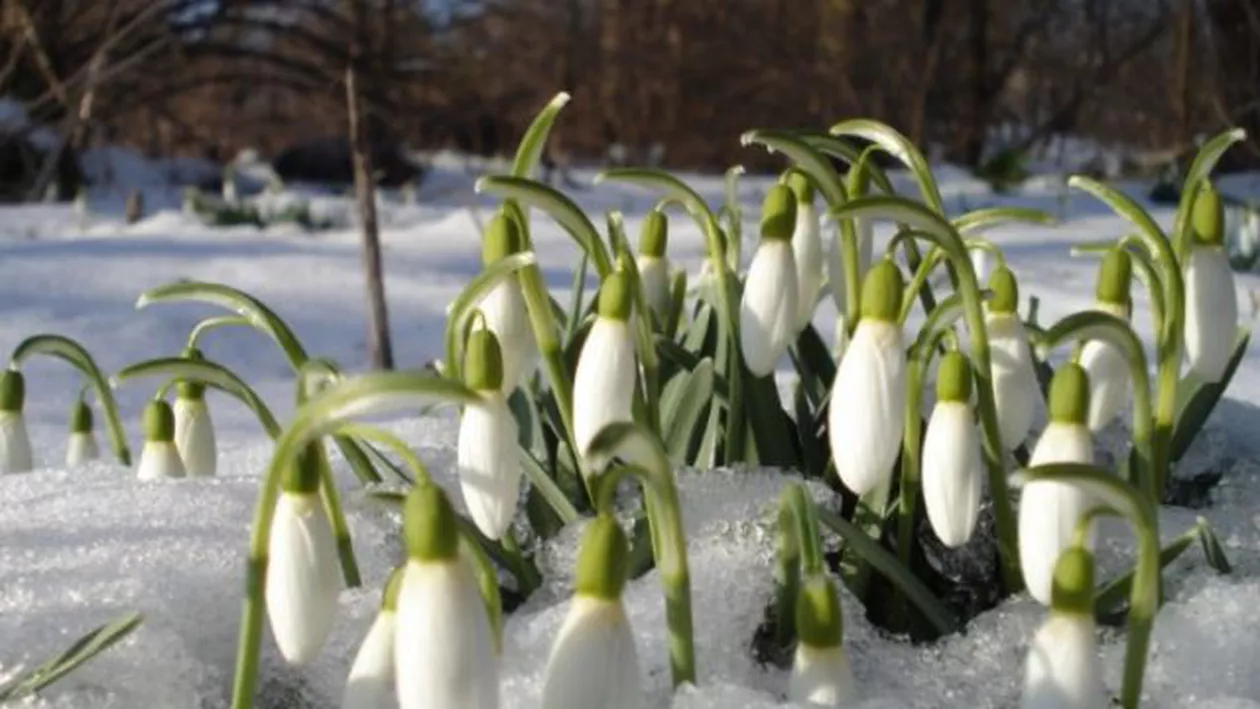 COD PORTOCALIU DE GER! ANM: Cel mai RECE Mărțișor din ULTIMII 60 DE ANI (VIDEO)