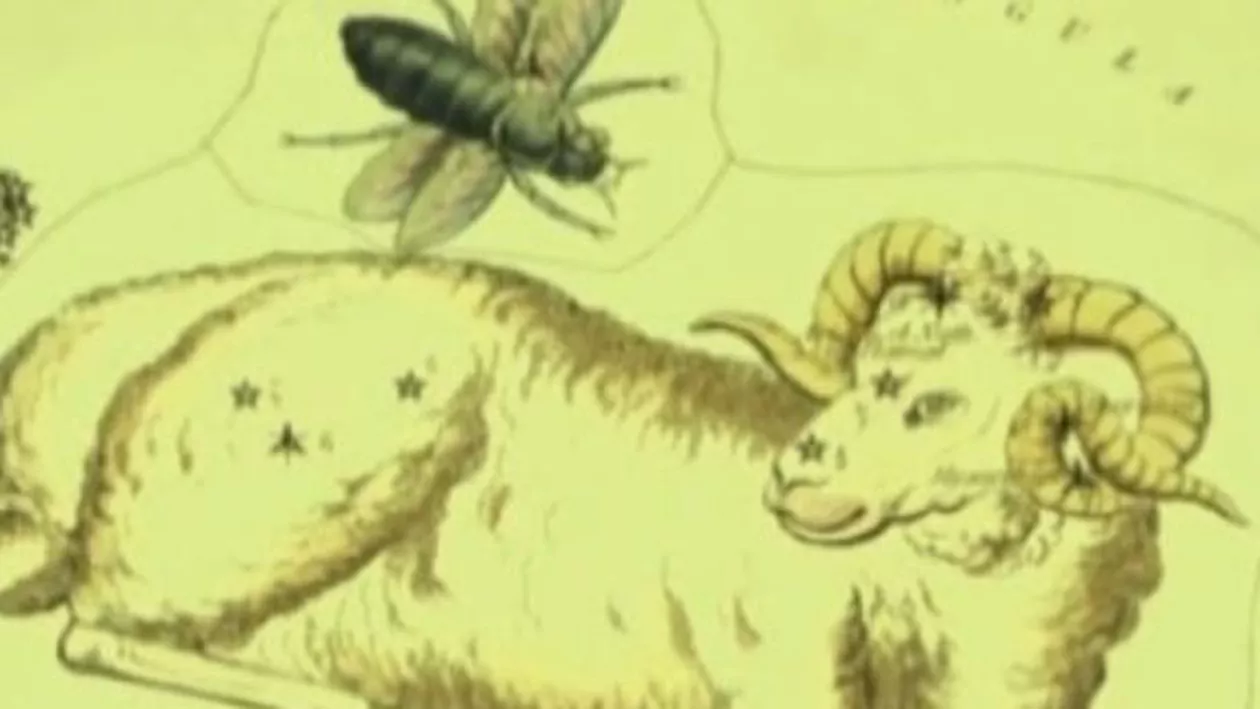 HOROSCOPUL pentru zodia BERBEC, în perioada 3 - 10 martie, prezentat de Alina Bădic, alături de Silvana Popa (VIDEO)