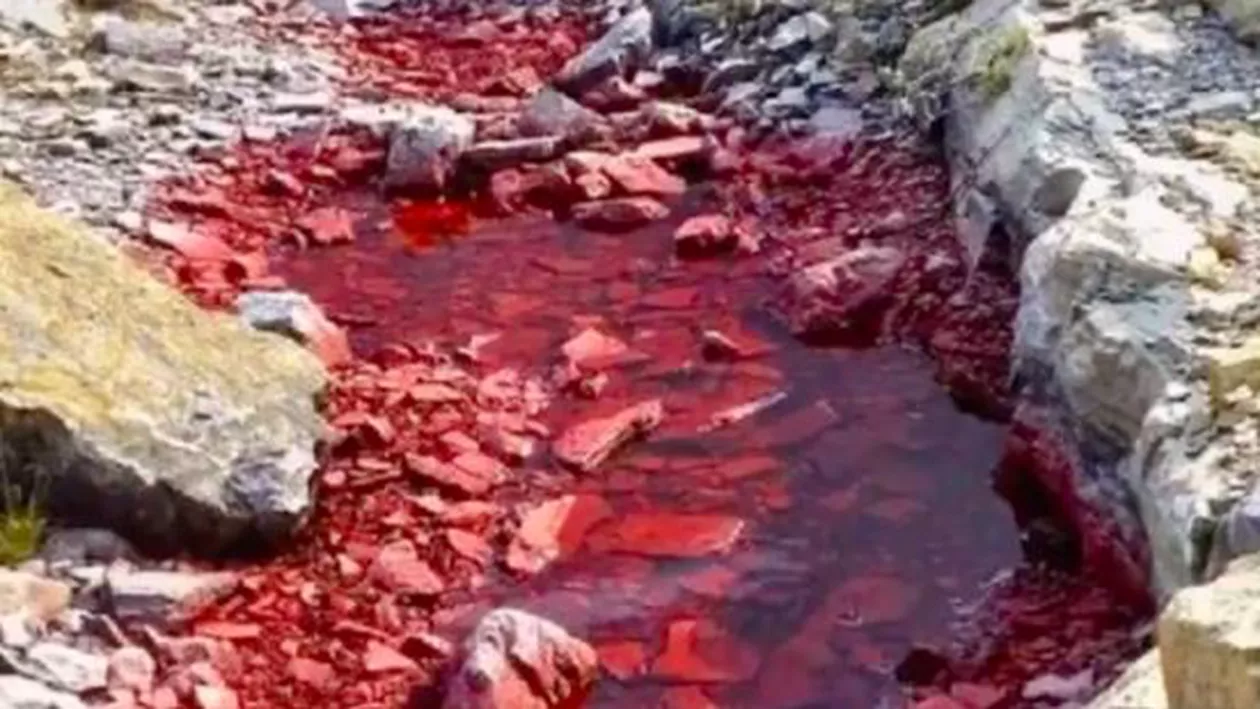 FENOMEN EXTREM: Bălți de SÂNGE în urma zăpezii! Ce se întamplă în această zonă TE VA ȘOCA (FOTO)