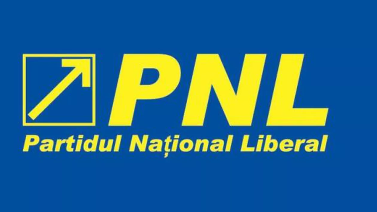 PNL anunță că va ataca la Curtea Constituţională cele trei legi ale Justiţiei