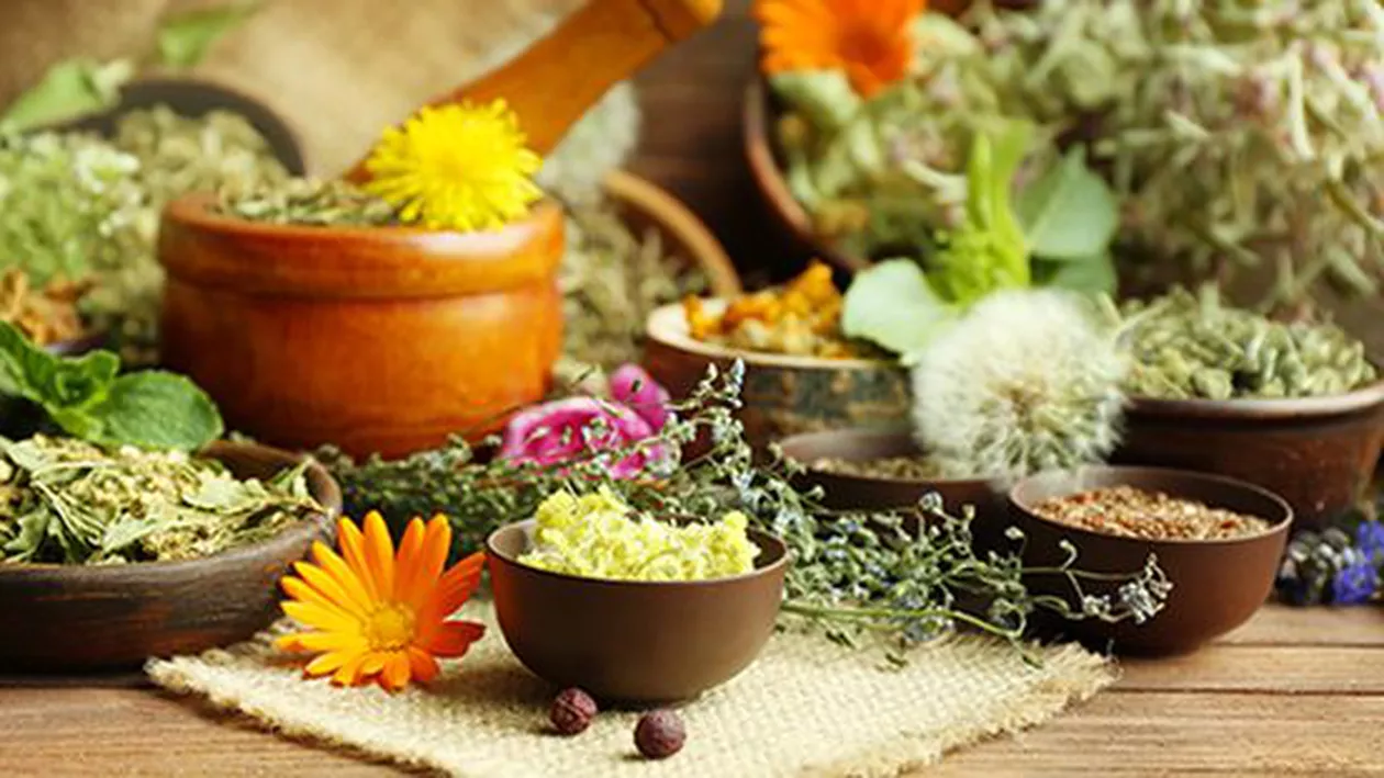 Care este planta MIRACULOASĂ care ucide 98% din celulele CANCEROASE în doar 16 ore (FOTO)