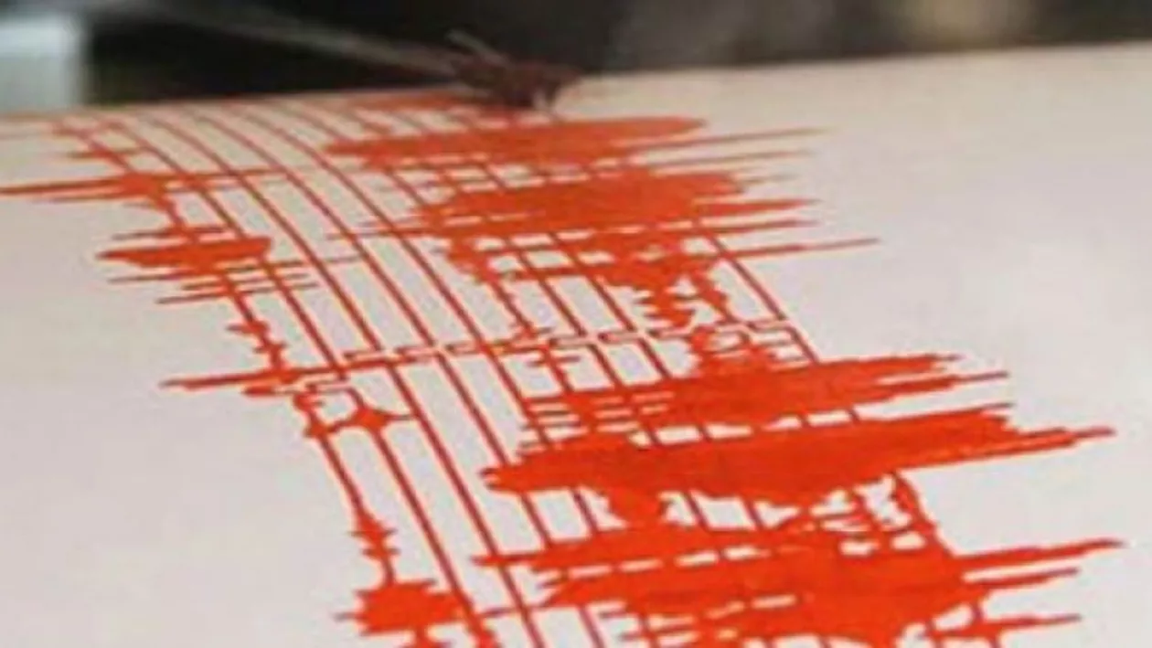 Cutremur în județul Vrancea: Ce magnitudine a avut seismul
