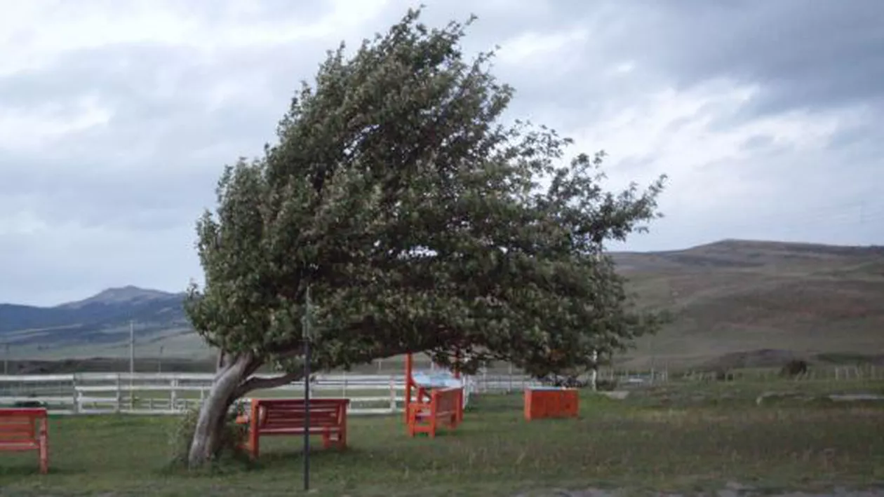 Alertă meteo de vânt puternic în mare parte din ţară