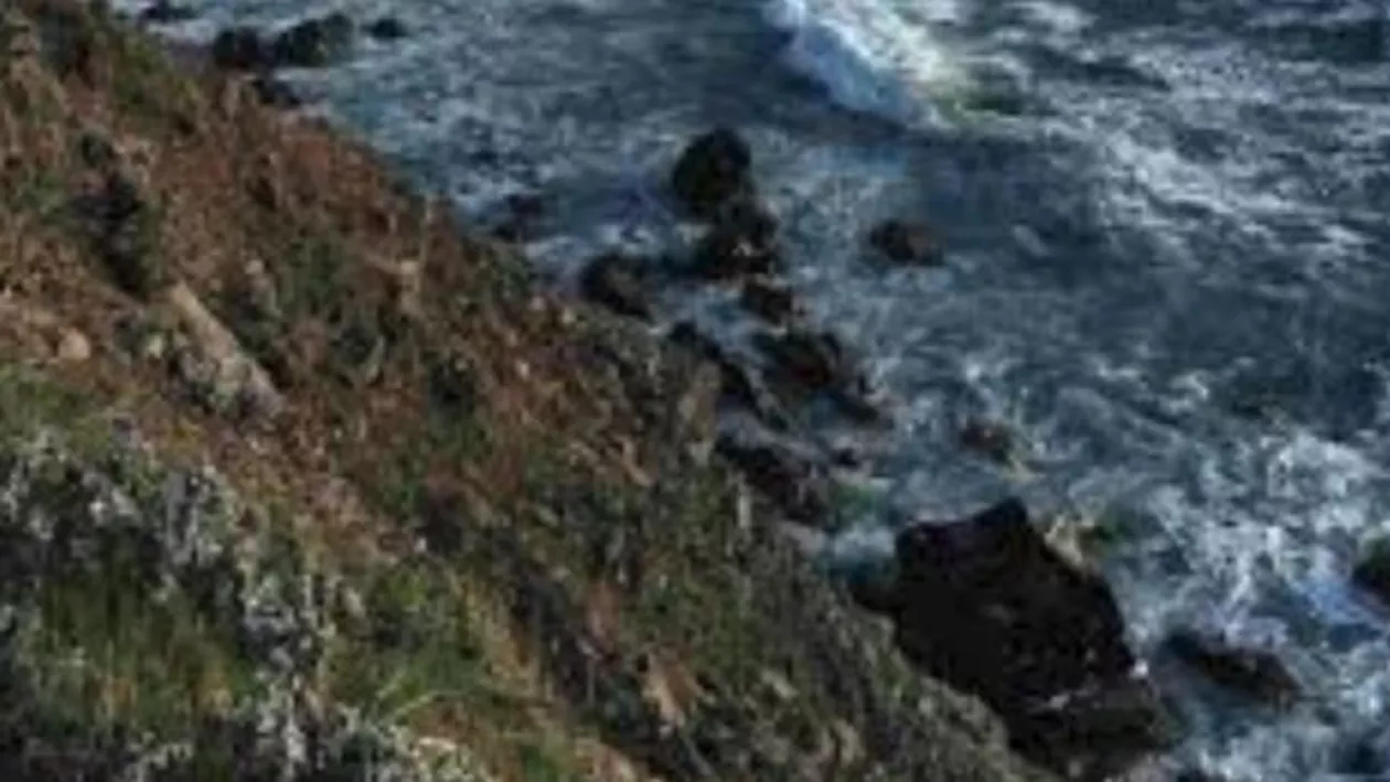 Caz ȘOCANT: Două lesbiene s-au sinucis împreună cu cei şase copii adoptaţi