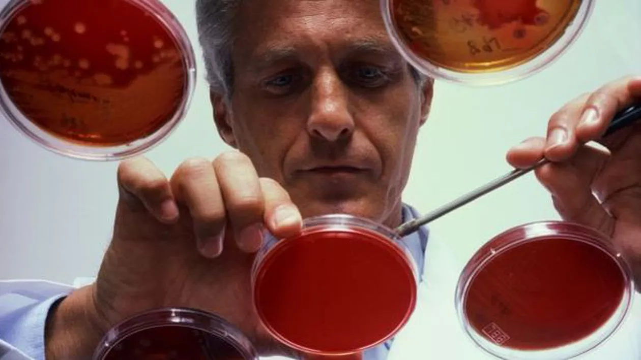 REVOLUȚIE ÎN MEDICINĂ: Un mușchi cardiac perfect funcțional a fost creat din celule stem (VIDEO)