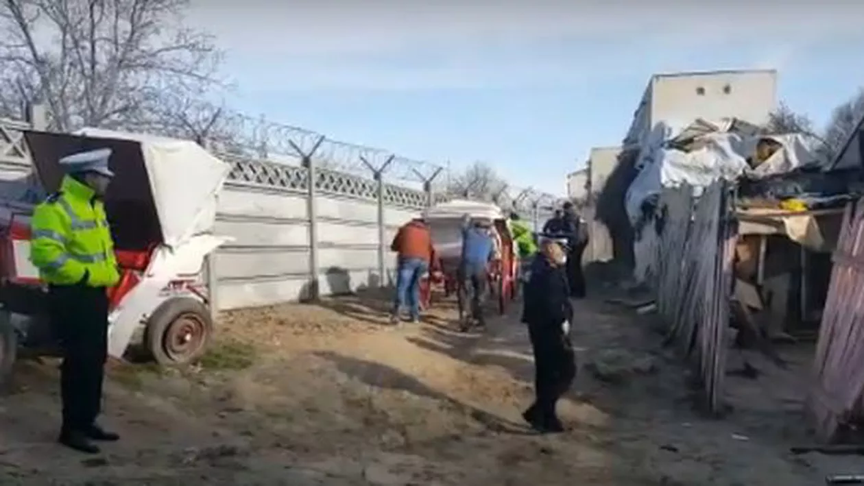Constănţeni, amendaţi pentru că ţineau cai şi caleşti în spatele blocului (VIDEO)