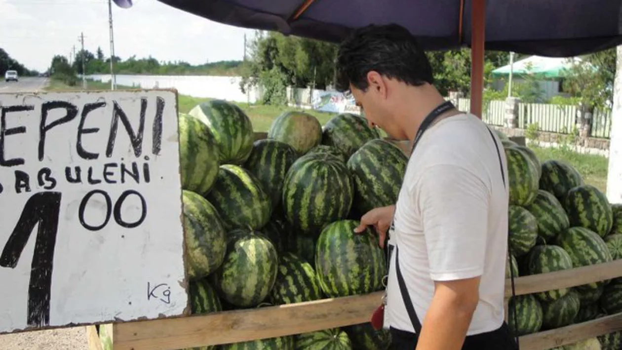 Faimosul PEPENE DE DĂBULENI, pe cale de DISPARIŢIE! Soiul, înlocuit cu seminţe din Grecia, Olanda, Spania sau Turcia