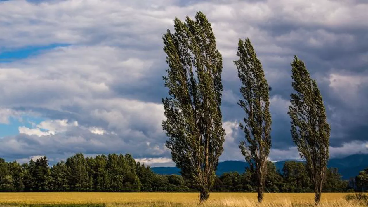 Avertisment de ultimă oră de la meteorologi: COD GALBEN în mai multe judeţe