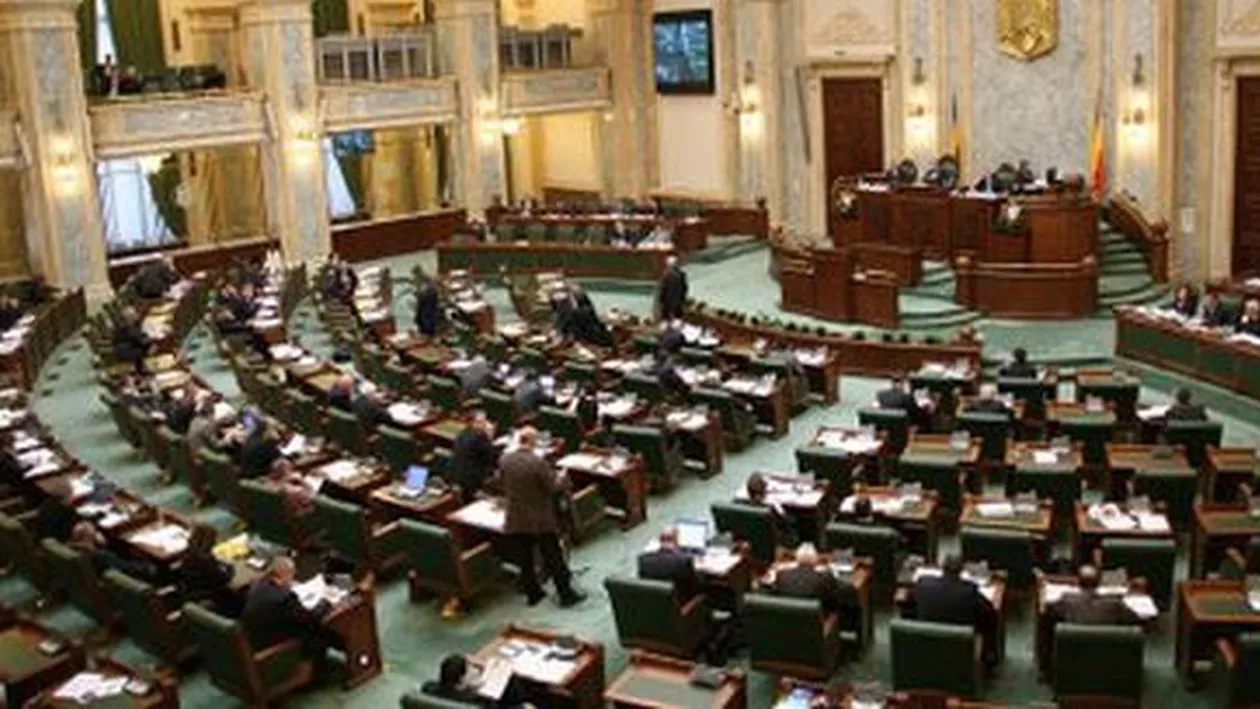 Senat: Legea pentru prevenirea şi combaterea violenţei în familie, modificată. Răspunderea penală nu mai poate fi înlăturată