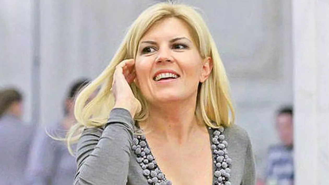 Udrea: Abuzurile care se petrec în România reprezintă motivația pentru care am solicitat statutul de refugiat