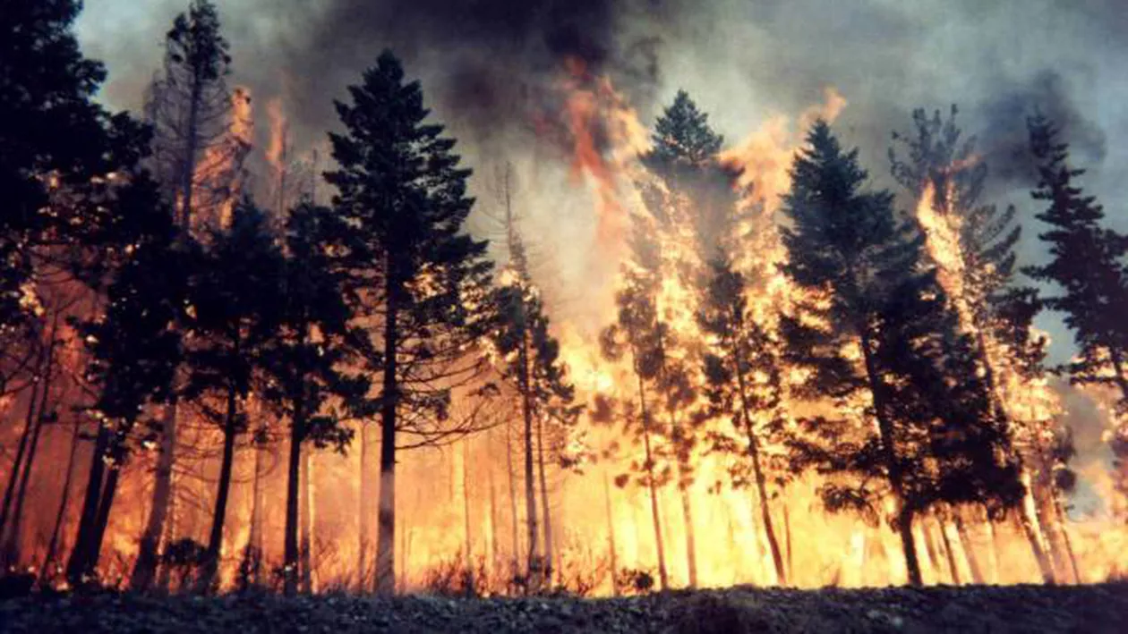 Australia: Un incendiu de pădure a izbucnit la periferia unui oraș