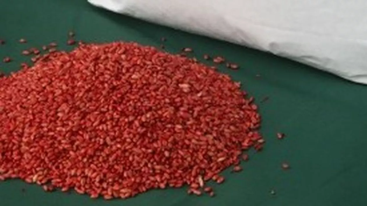 Buzău: Trei copii au ajuns la spital în stare gravă după ce au mâncat otravă pentru șoareci 