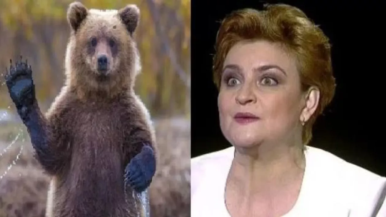 Ministrul Mediului, Graţiela Gavrilescu, nu ştie numărul urşilor din România