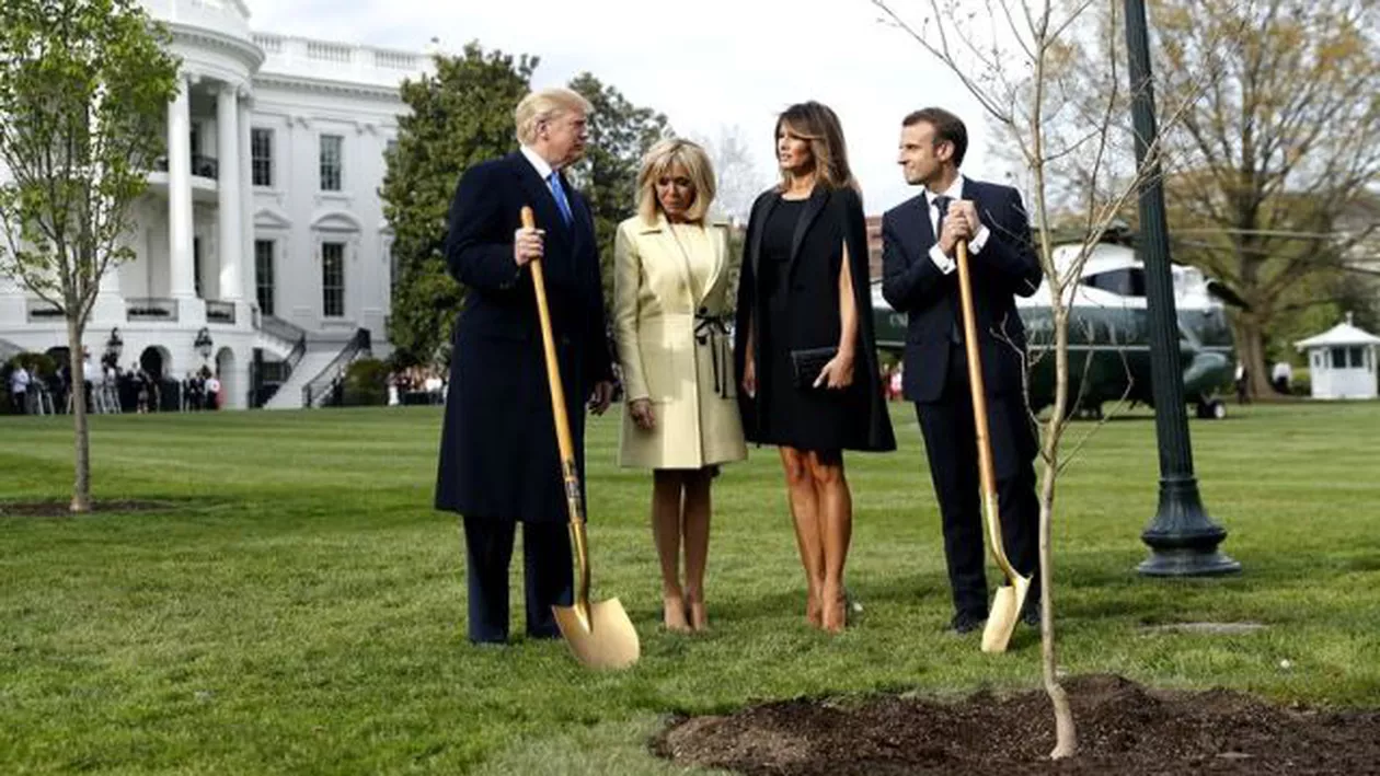 SEMN RĂU sau conspiraţie? A dispărut COPACUL plantat de Trump şi Macron! (VIDEO)