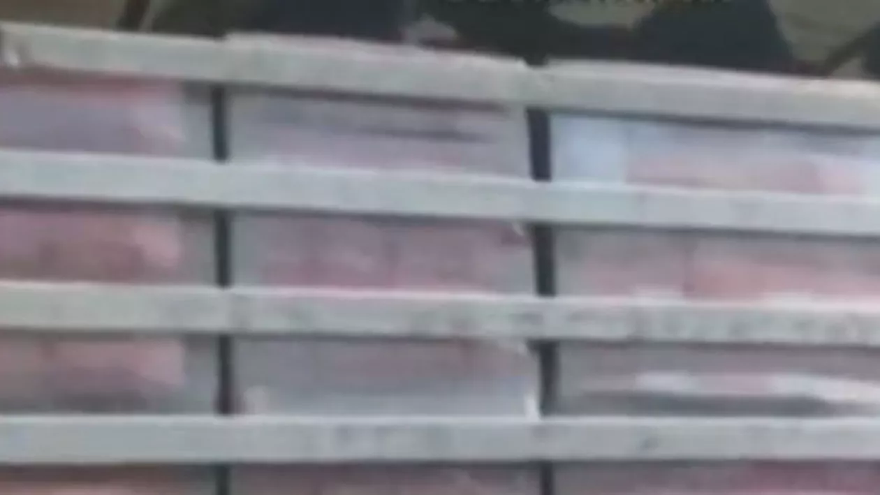 CAPTURĂ de proporții a vameșilor: 34 de cetăţeni din Iran şi Irak, prinși încercând să treacă ilegal graniţa (VIDEO)