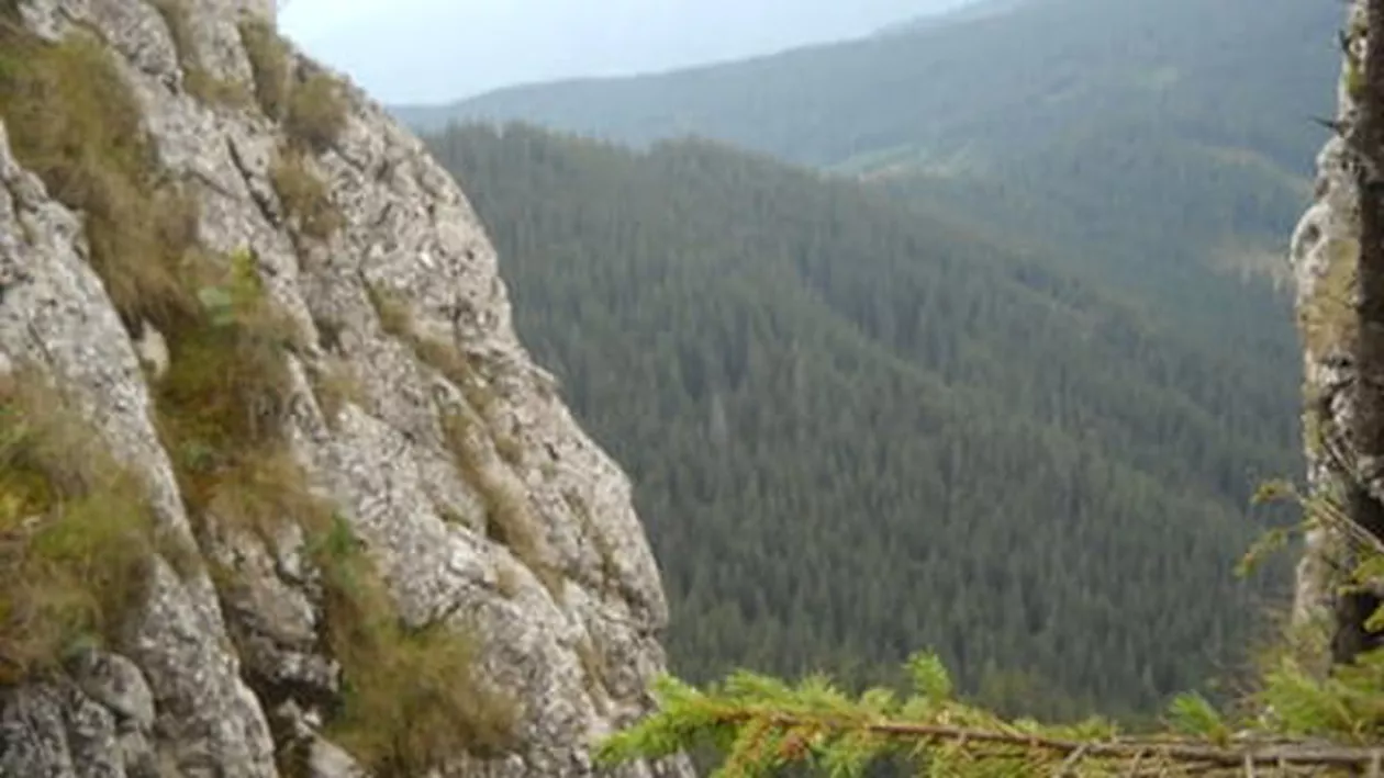 ALERTĂ lângă Sinaia:  Un bărbat a căzut într-o PĂRPASTIE! Se intervine de urgență