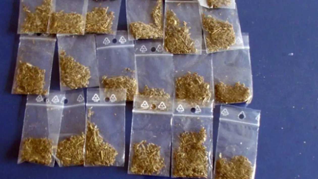 Timiș: Tânăr prins cu 80 de pliculețe cu etnobotanice și cannabis în borsetă
