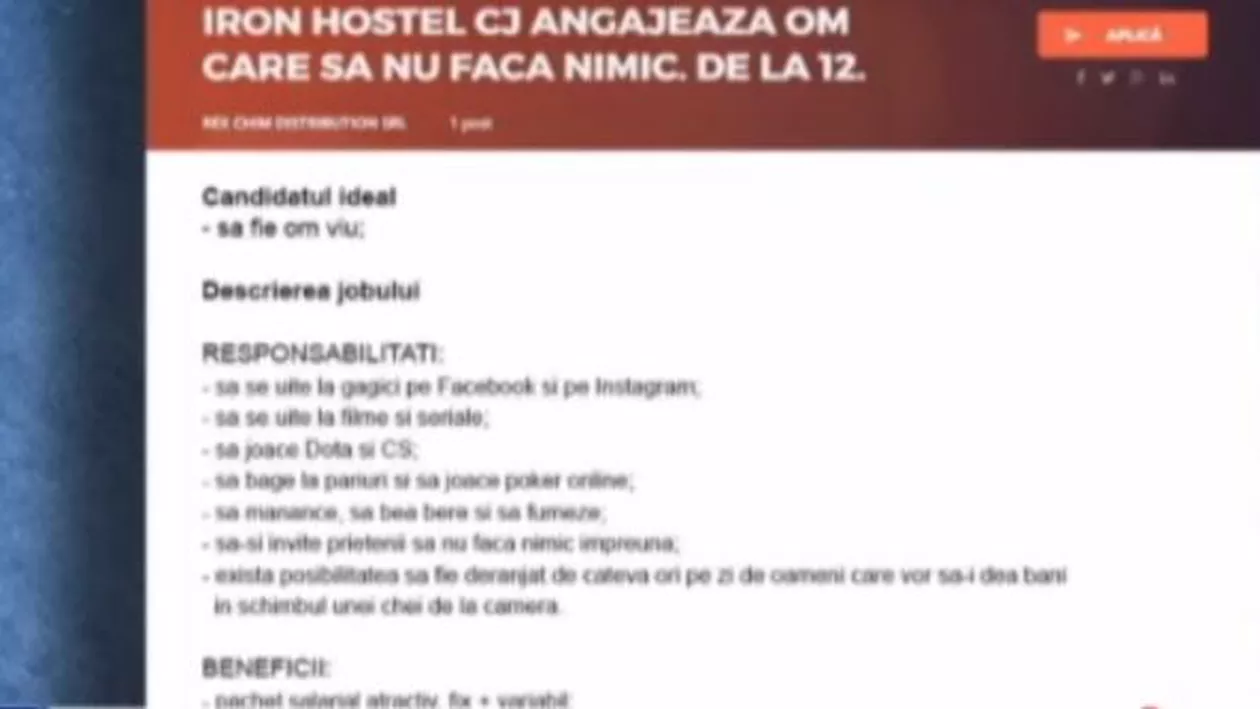 Anunţul de angajare al unui hostel din Cluj face furori pe internet: Candidatul ideal trebuie să fie om viu, care să se uite la filme şi să nu facă nimic