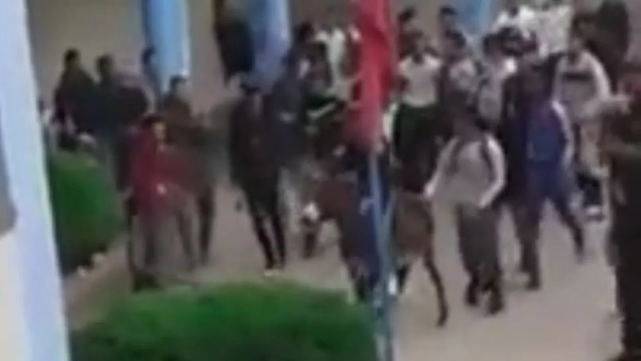 Anchetă în învățământ: ''Să vii cu măgarul de taică-tu'' (VIDEO)