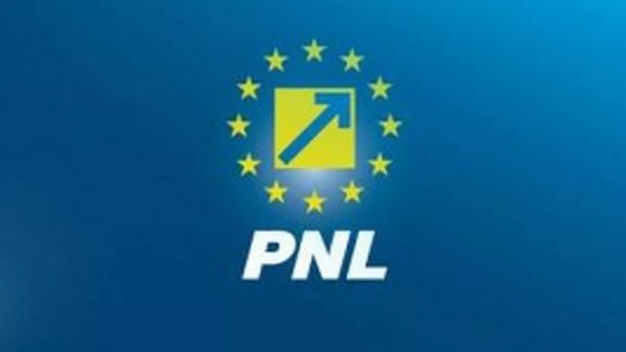 Reducerea salariului minim pe economie și tăierea ajutoarelor sociale, posibile propuneri în programul electoral PNL