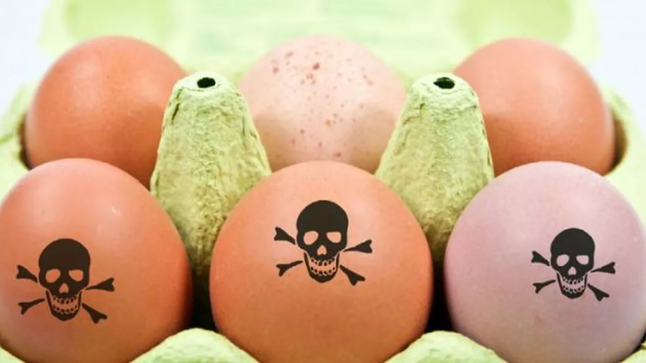 ALERTĂ SANITARĂ! 4,3 milioane de ouă au fost retrase de pe piaţă: CONTAMINARE fără precedent