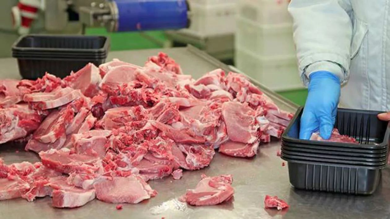 Măcelarii francezi cer Guvernului protecție împotriva ”teroriștilor vegani”