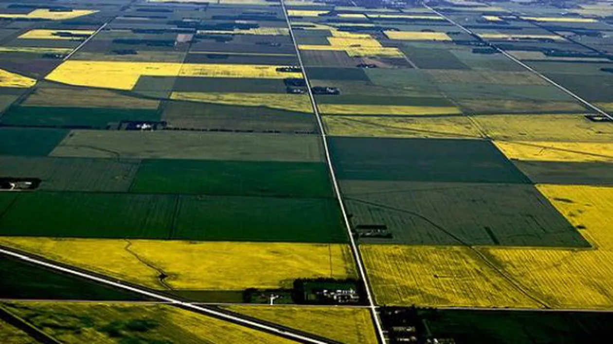 Cea mai mare fermă agricolă din România, cumpărată de o companie din Emiratele Arabe Unite