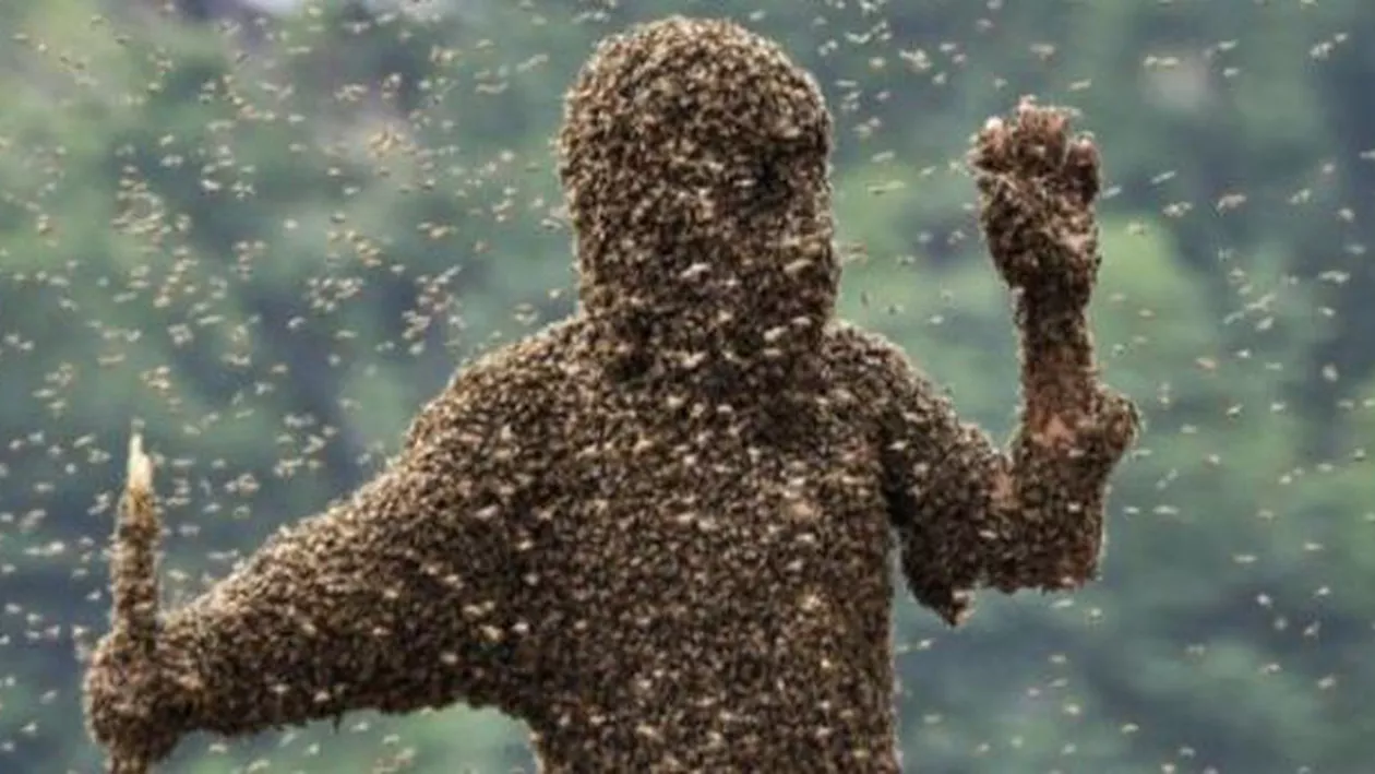 ALBINELE ucigașe au FĂCUT RAVAGII: Un bărbat a murit după ce a fost ATACAT de SUTE DE INSECTE