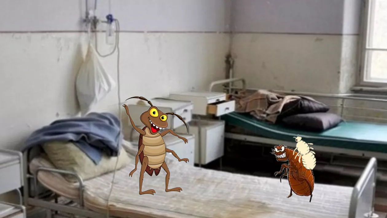 PURICI ÎN SPITAL. Președintele CJ Arad cere jurnaliștilor să mai inchidă ochii la problemele existente: 'Purici avem şi acasă, că îi poţi lua de oriunde'
