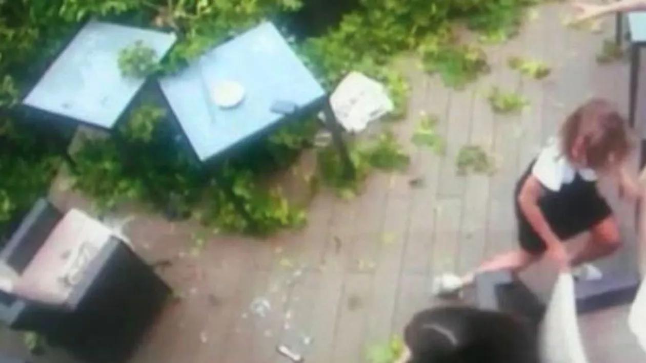 Scene ÎNGROZITOARE la Brașov! Un copac a căzut peste o terasă plină cu clienți