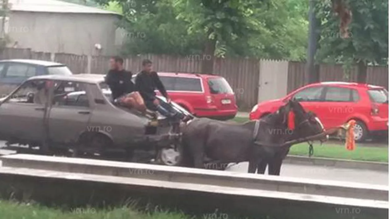 Ingineria românească: Căruţă model Dacia cu doi cai putere (FOTO)