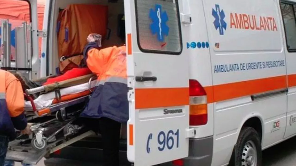 Mai mulți oameni din Iași au fost mușcați de șerpi. Autoritățile sunt ÎN ALERTĂ (VIDEO)