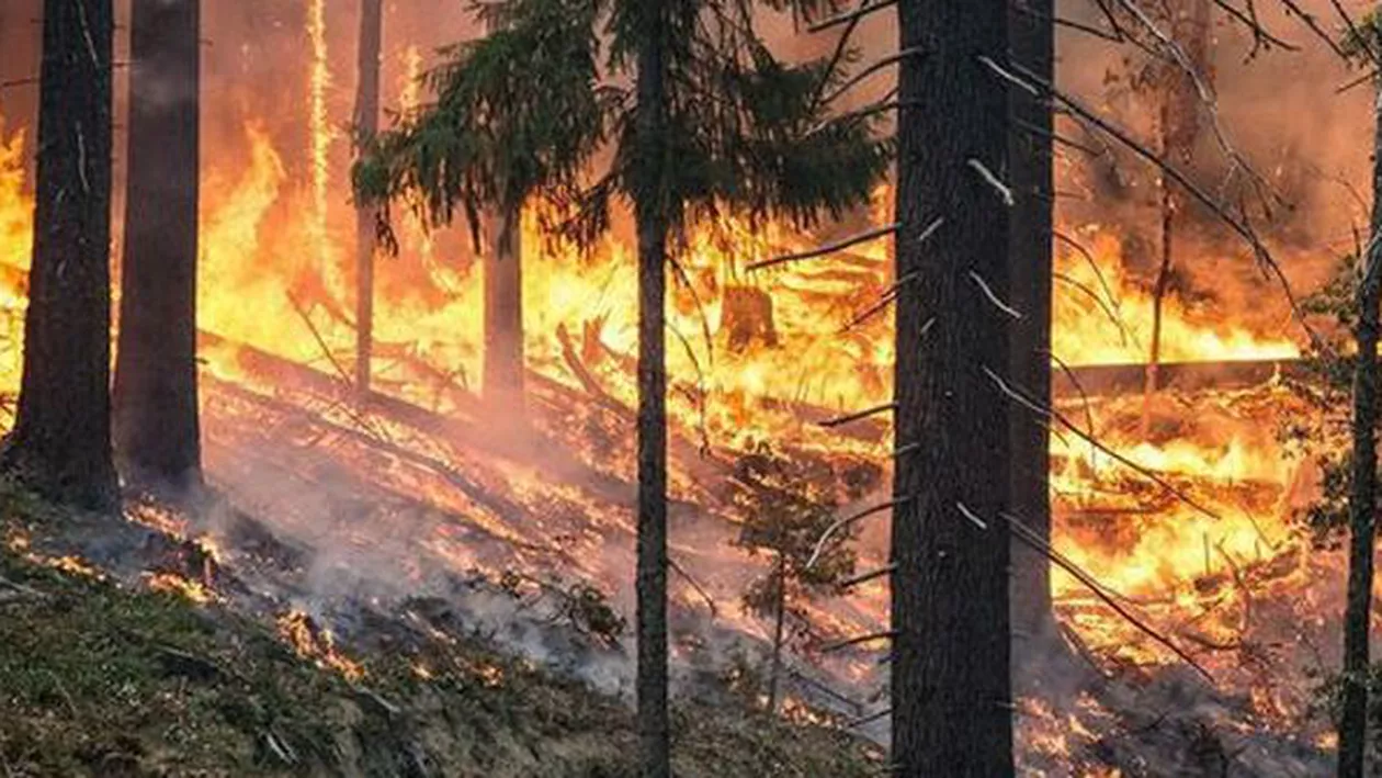 Noi incendii APOCALIPTICE în Grecia: Așa arată IADUL! Bilanț de ULTIM MOMENT