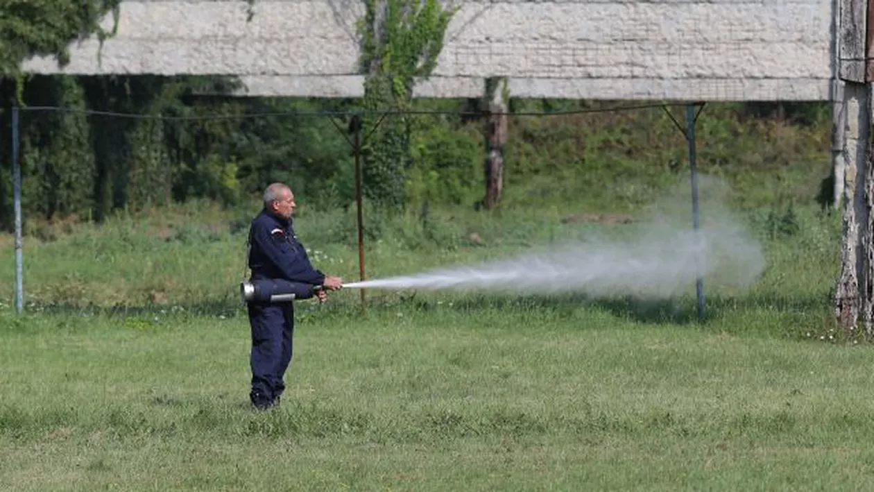 Noi explicații: Jandarmii își prezintă muniția folosită la protestul de pe 10 august (FOTO, VIDEO)