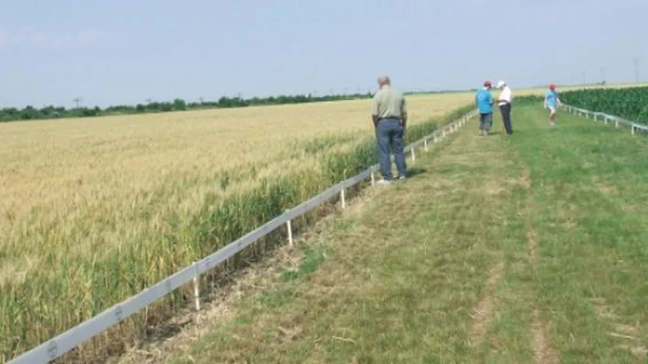 Tranzacții de milioane de euro AVIZATE de Ministerul Agriculturii! Unde s-a PLĂTIT aproximativ 17 mii de euro pe un hectar (FOTO)
