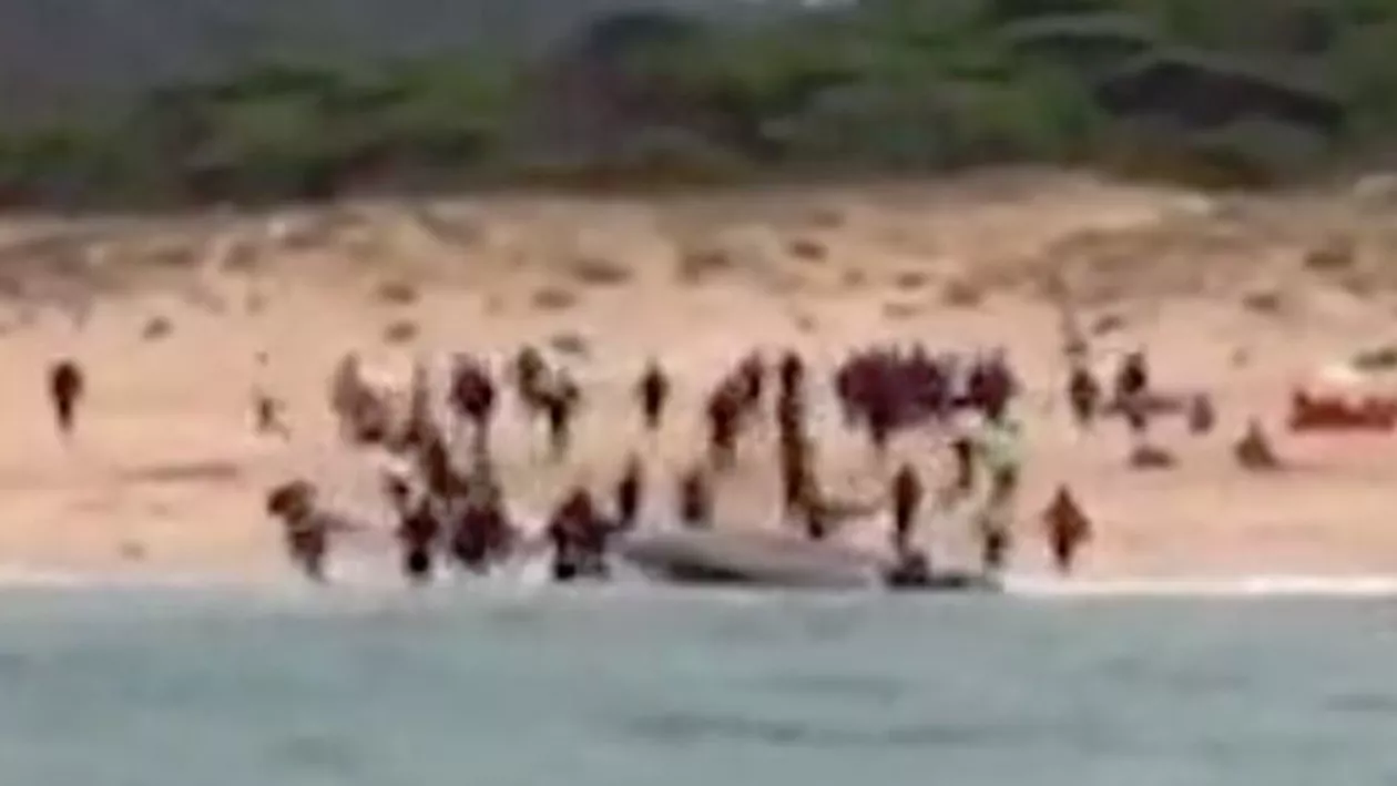 Ciocnirea CIVILIZAŢIILOR: O navă cu MIGRANŢI acostează pe o plajă de MILIONARI din Spania (VIDEO)