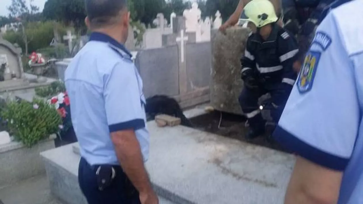 IMAGINI DE GROAZĂ în Timiș: Un câine a fost ÎNGROPAT de viu într-o criptă. „Administratorul cimitirului mi-a spus că el l-a îngropat” (FOTO)