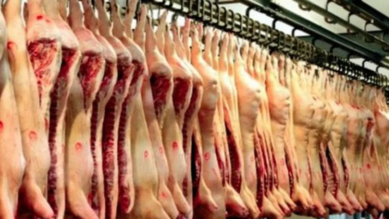 DEZASTRU economic în LANȚ din cauza PESTEI PORCINE: Se va ajunge la 100% carne din import