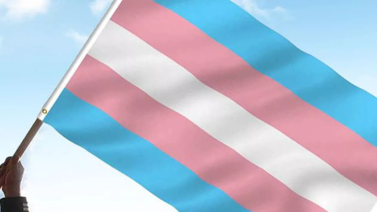 Senatul a adoptat un proiect de lege care acordă drepturi persoanelor transgender