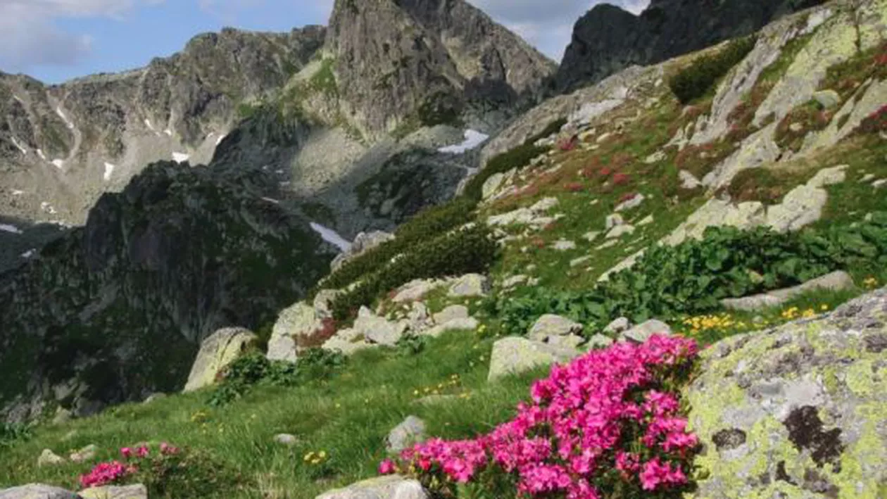 Proiect: Terenurile destinate exploatării resurselor minerale pot fi scoase din ariile protejate