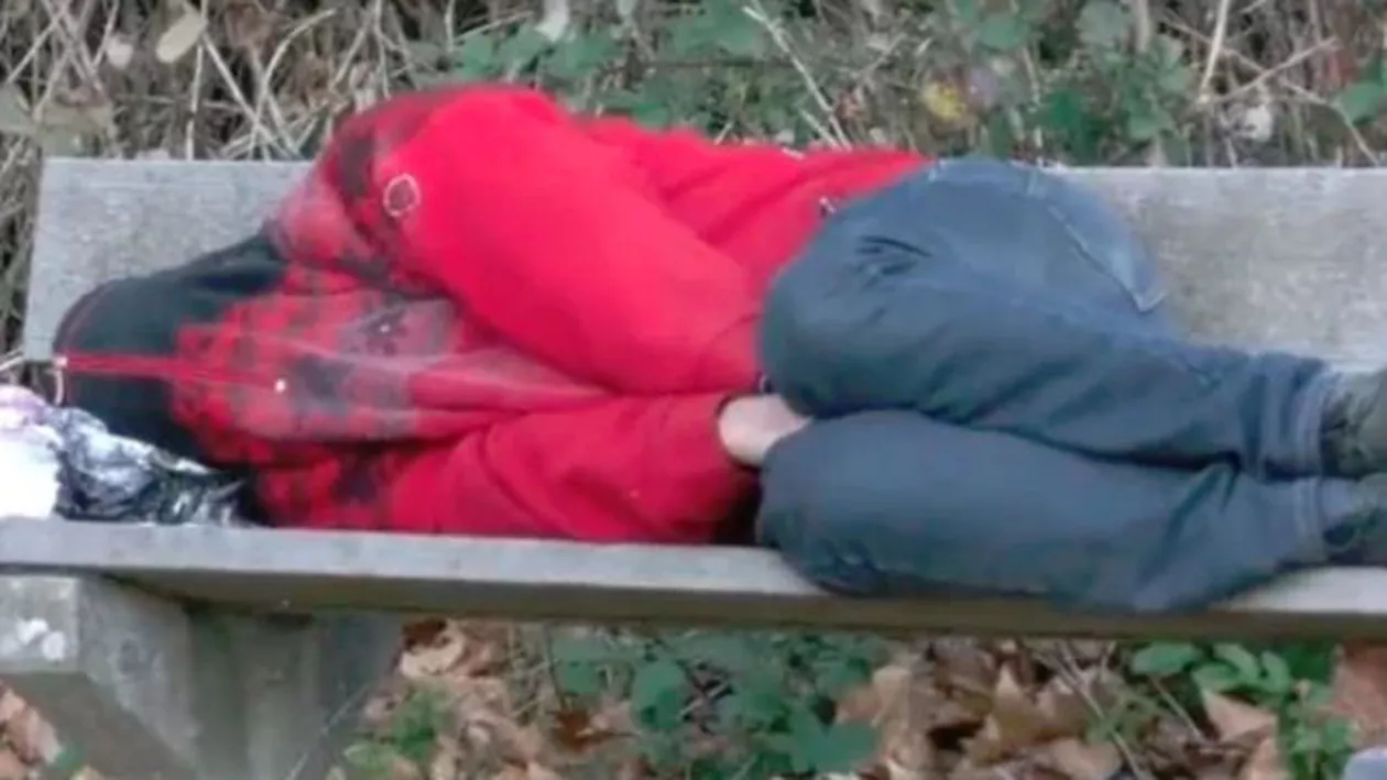 Sclavia din Germania: Un român a stat trei săptămâni pe bancă în pădure, fără mâncare! (VIDEO)