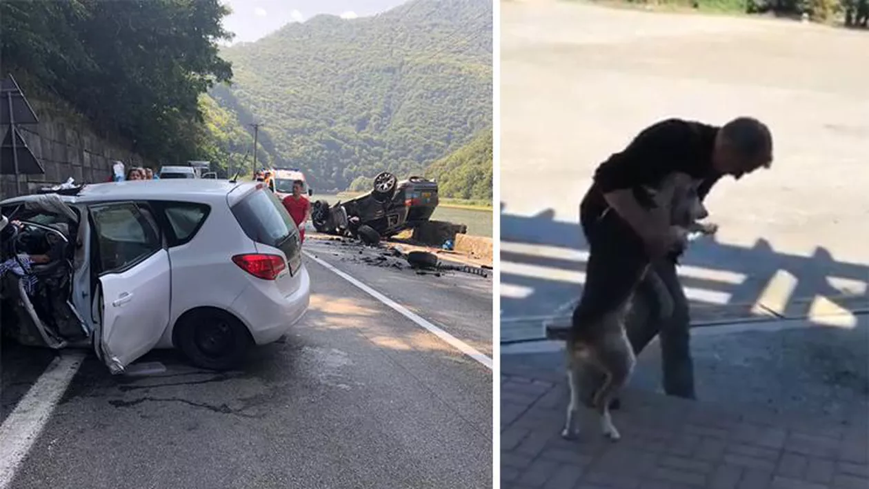 VIDEO EMOȚIONANT! Bucuria revederii dintre un cățel și stăpânul său, la 5 săptămâni după producerea unui grav accident pe Valea Oltului (VIDEO)